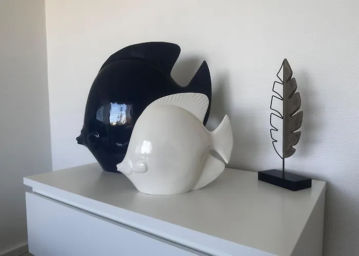 T3 Renove De 70m2 Magnifique Vue Apartment Royan